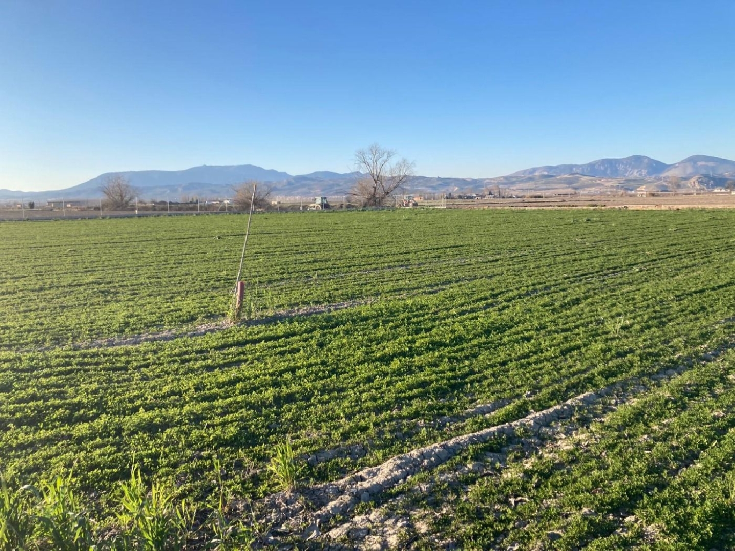  te koop perceel Pinos Puente Vega De Granada 3