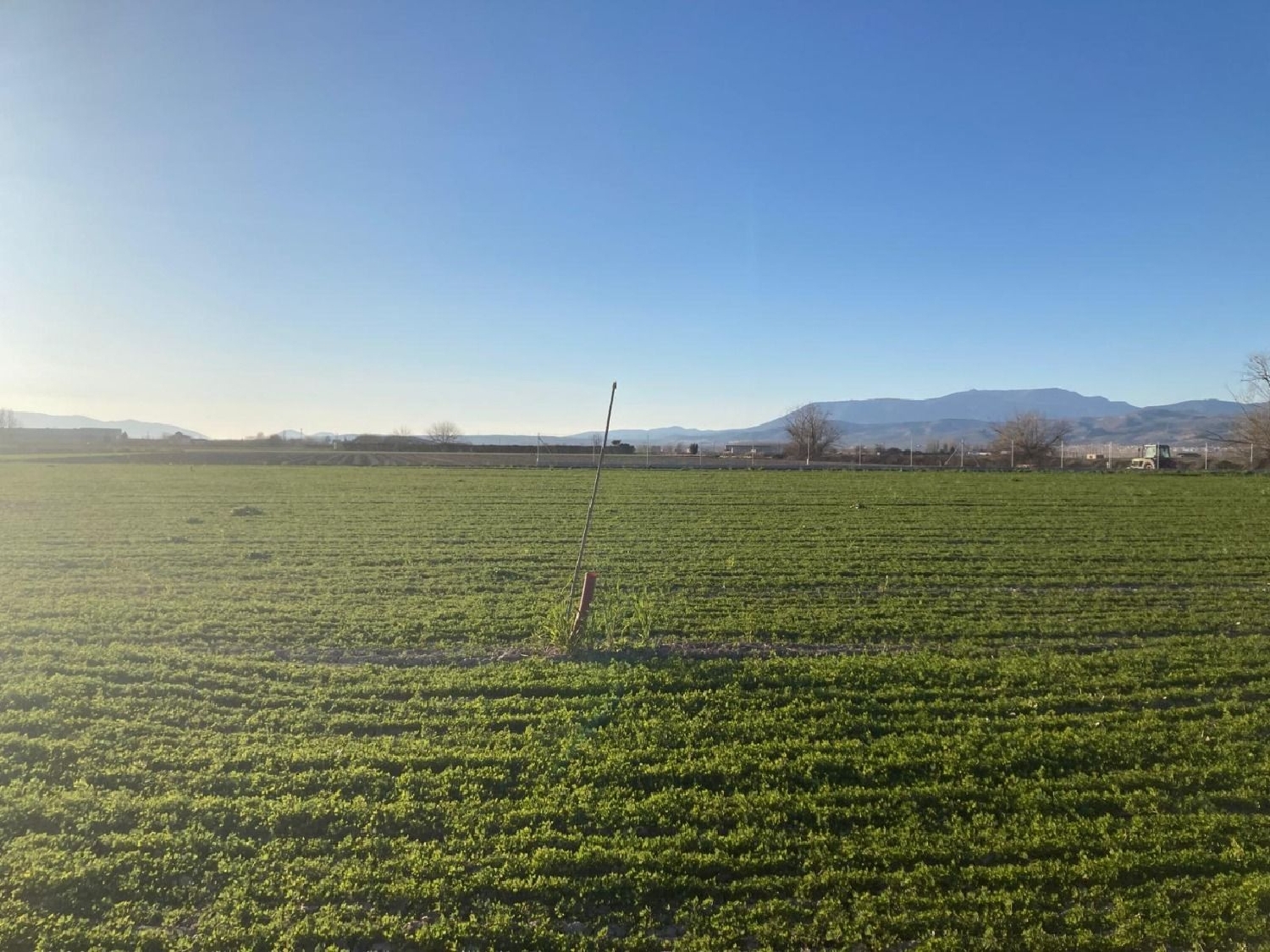  te koop perceel Pinos Puente Vega De Granada 5