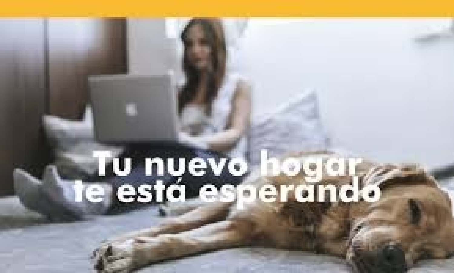  for sale plot Porcariza Arzúa 4