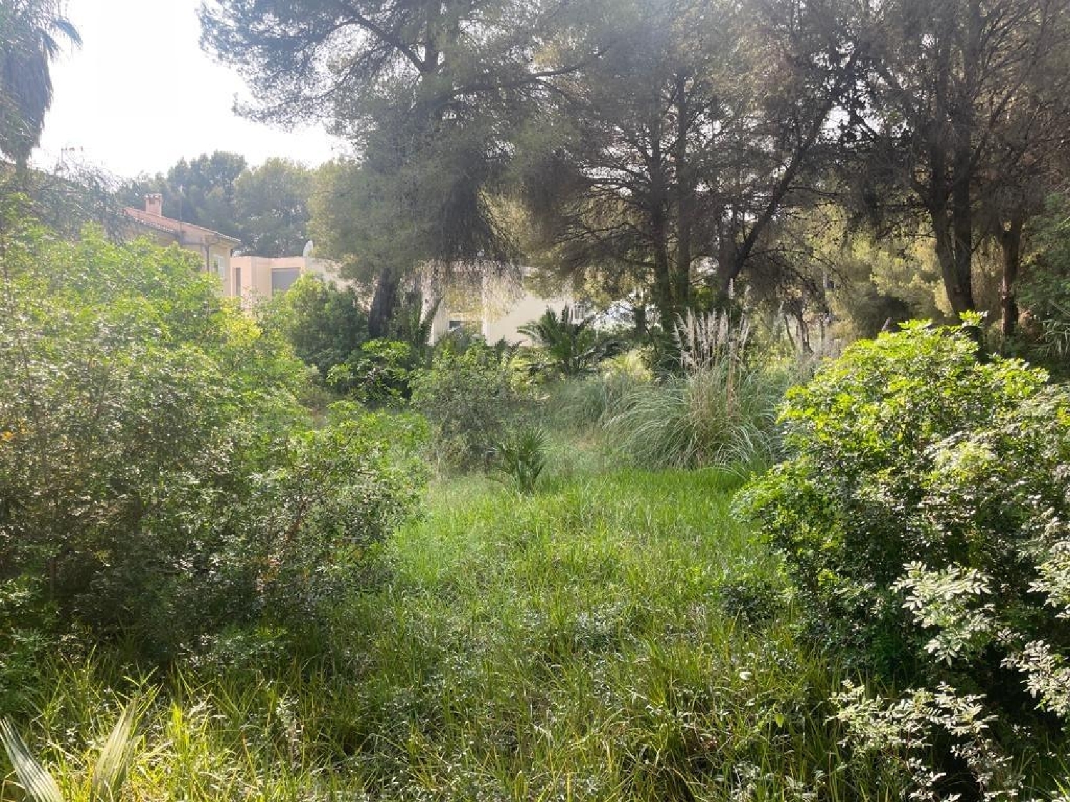  for sale plot Port D'alcudia Nord 2