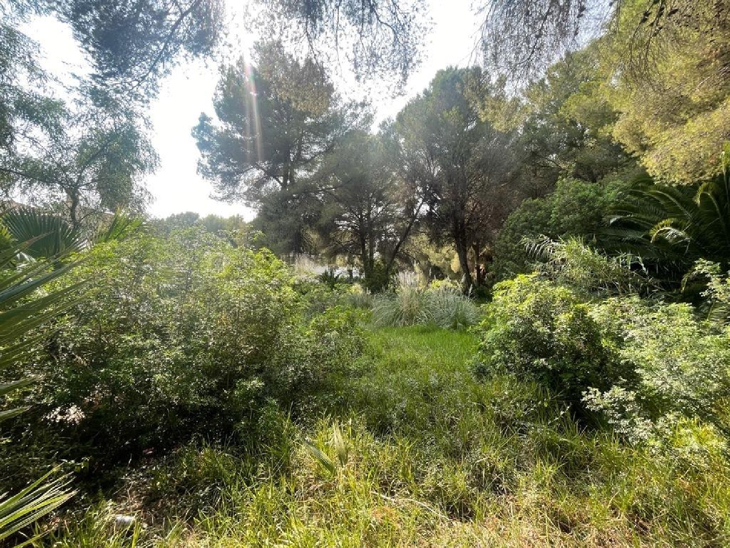  for sale plot Port D'alcudia Nord 3