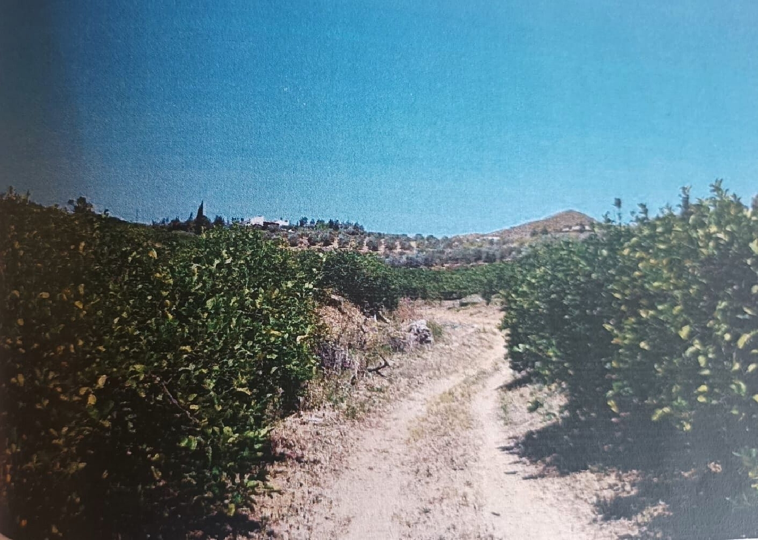  till salu tomt Quintanaloranco Montes De Oca 2