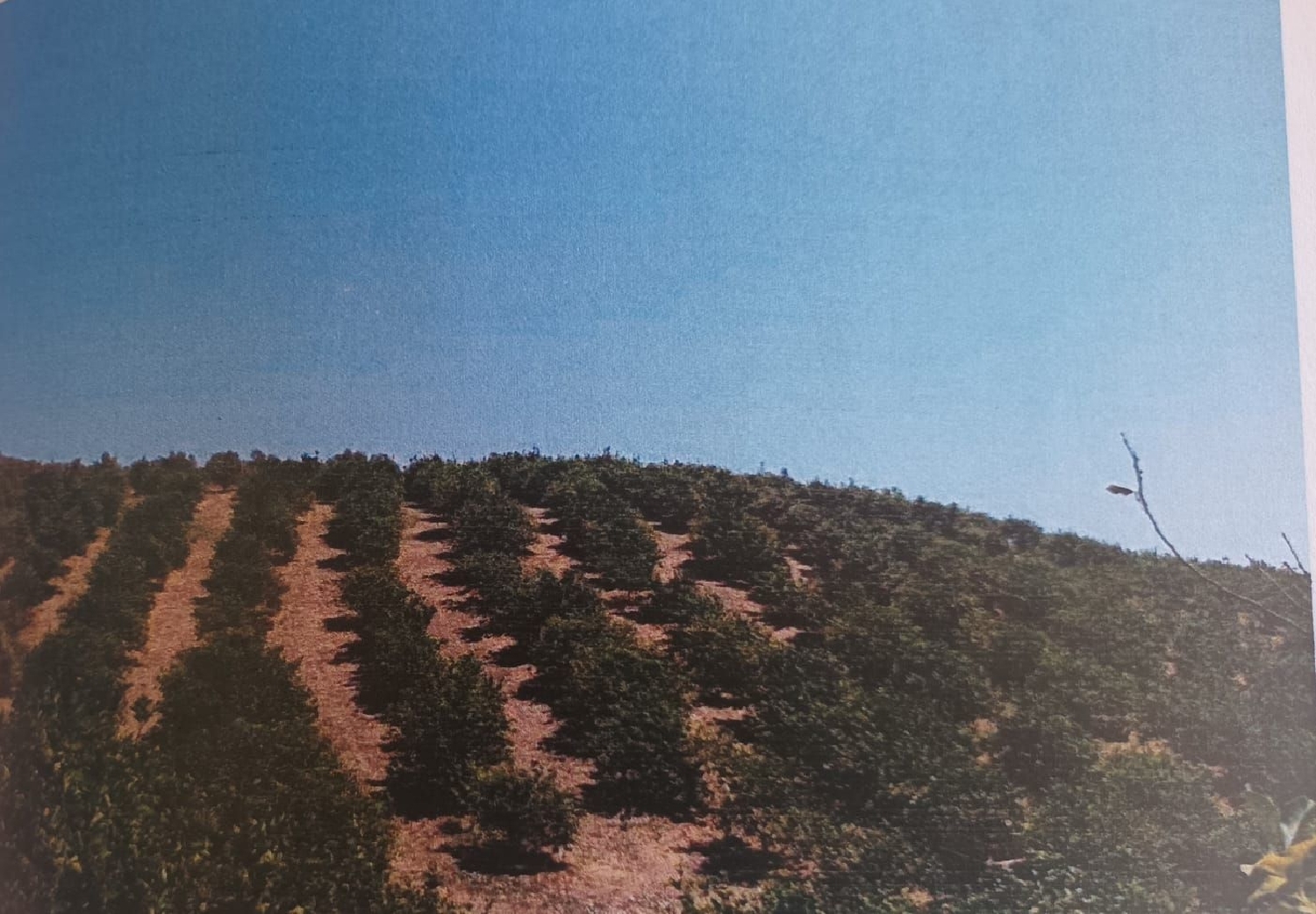  till salu tomt Quintanaloranco Montes De Oca 6