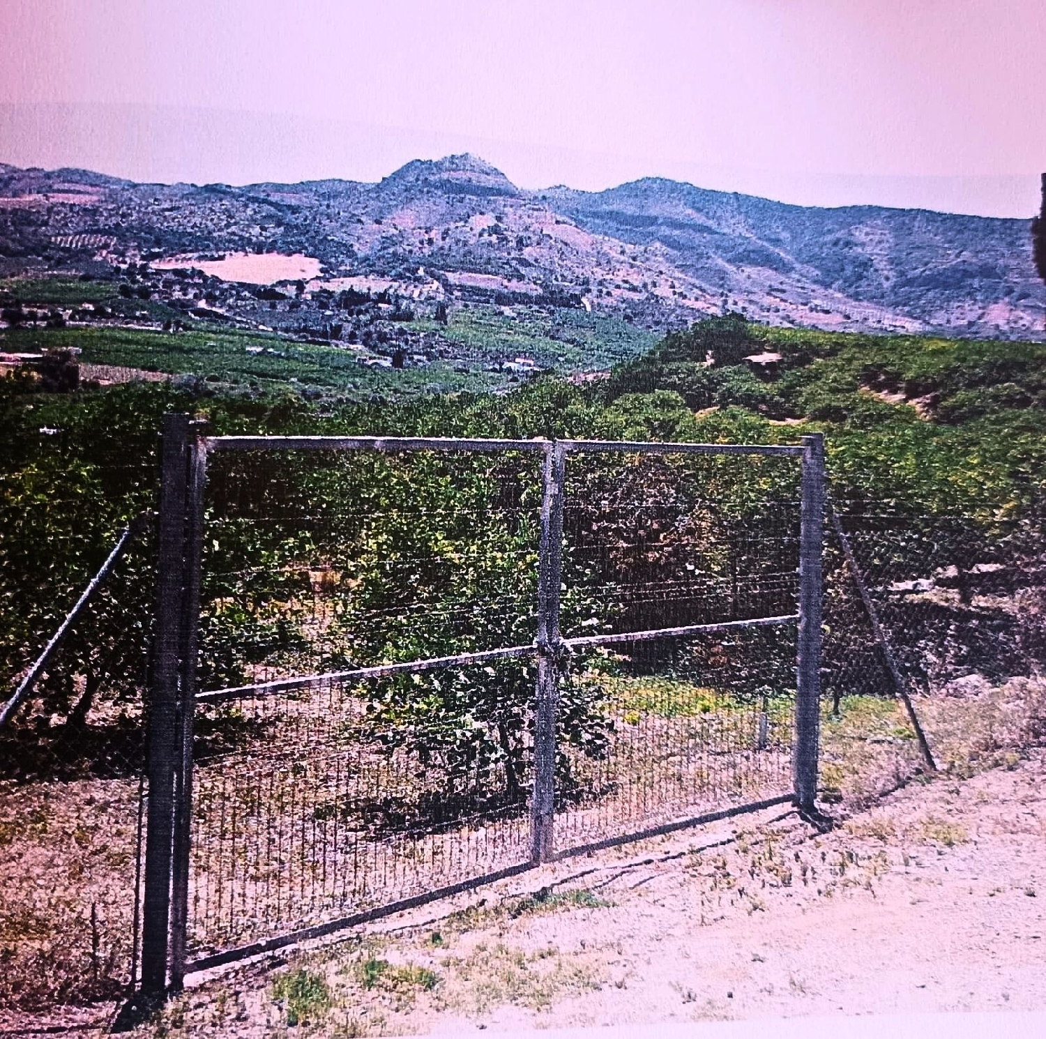  till salu tomt Quintanaloranco Montes De Oca 5