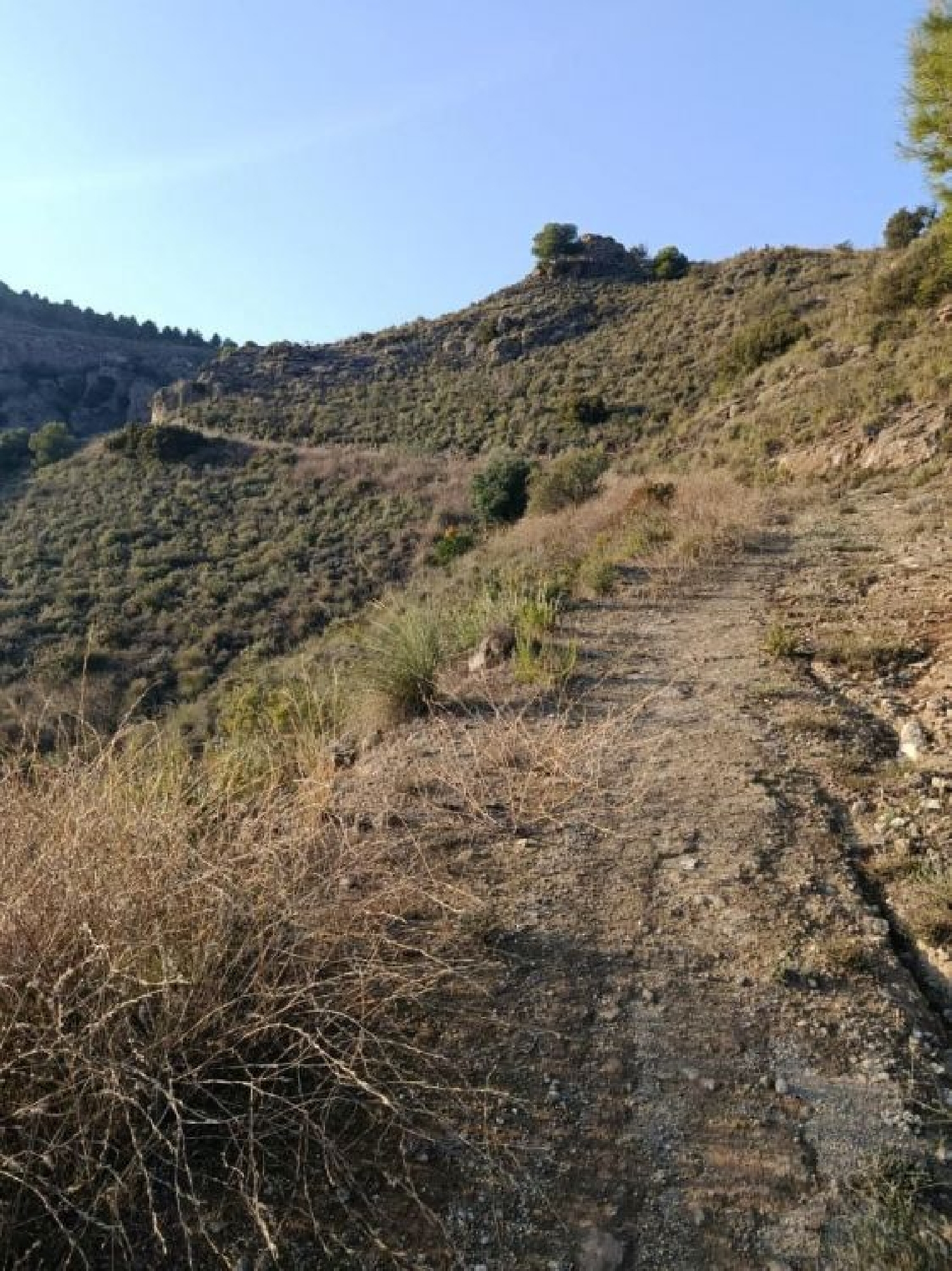  till salu tomt Quintanaloranco Montes De Oca 5