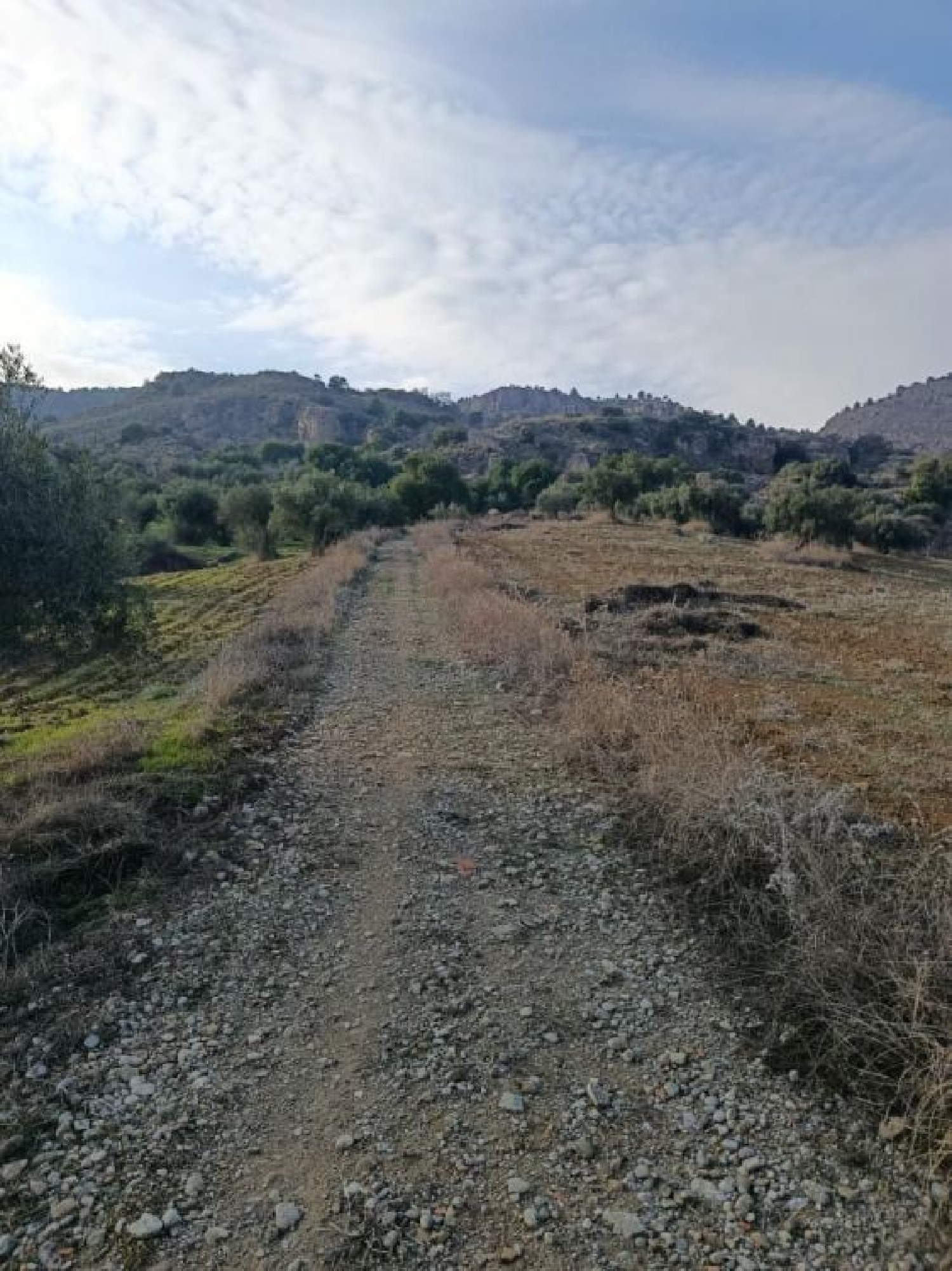  till salu tomt Quintanaloranco Montes De Oca 3