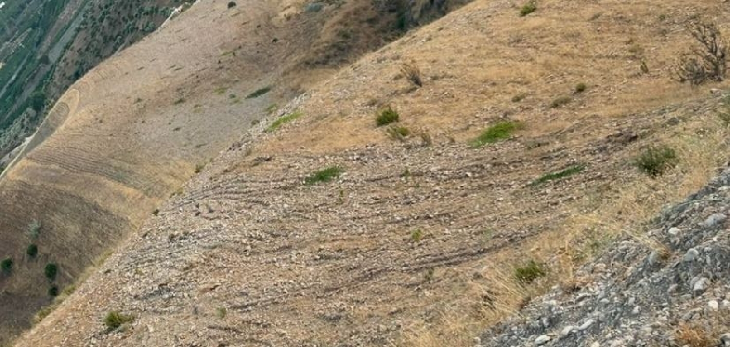  till salu tomt Quintanaloranco Montes De Oca 3