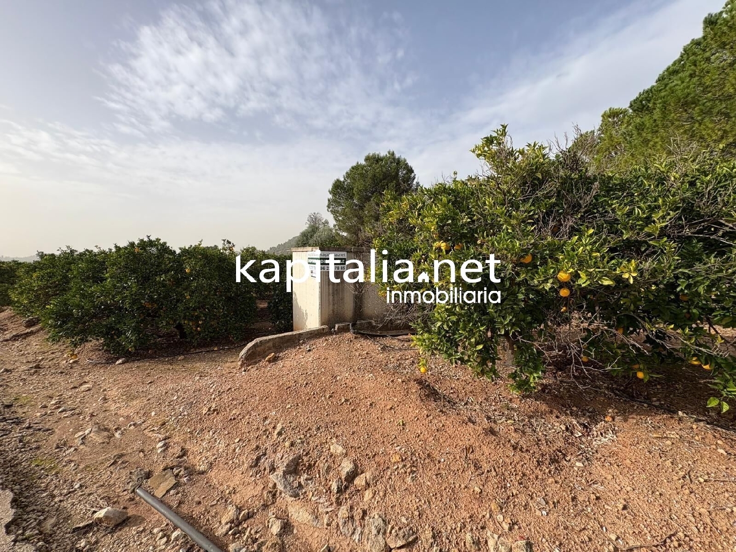  for sale plot Rotglà I Corberà Costera (La) 8