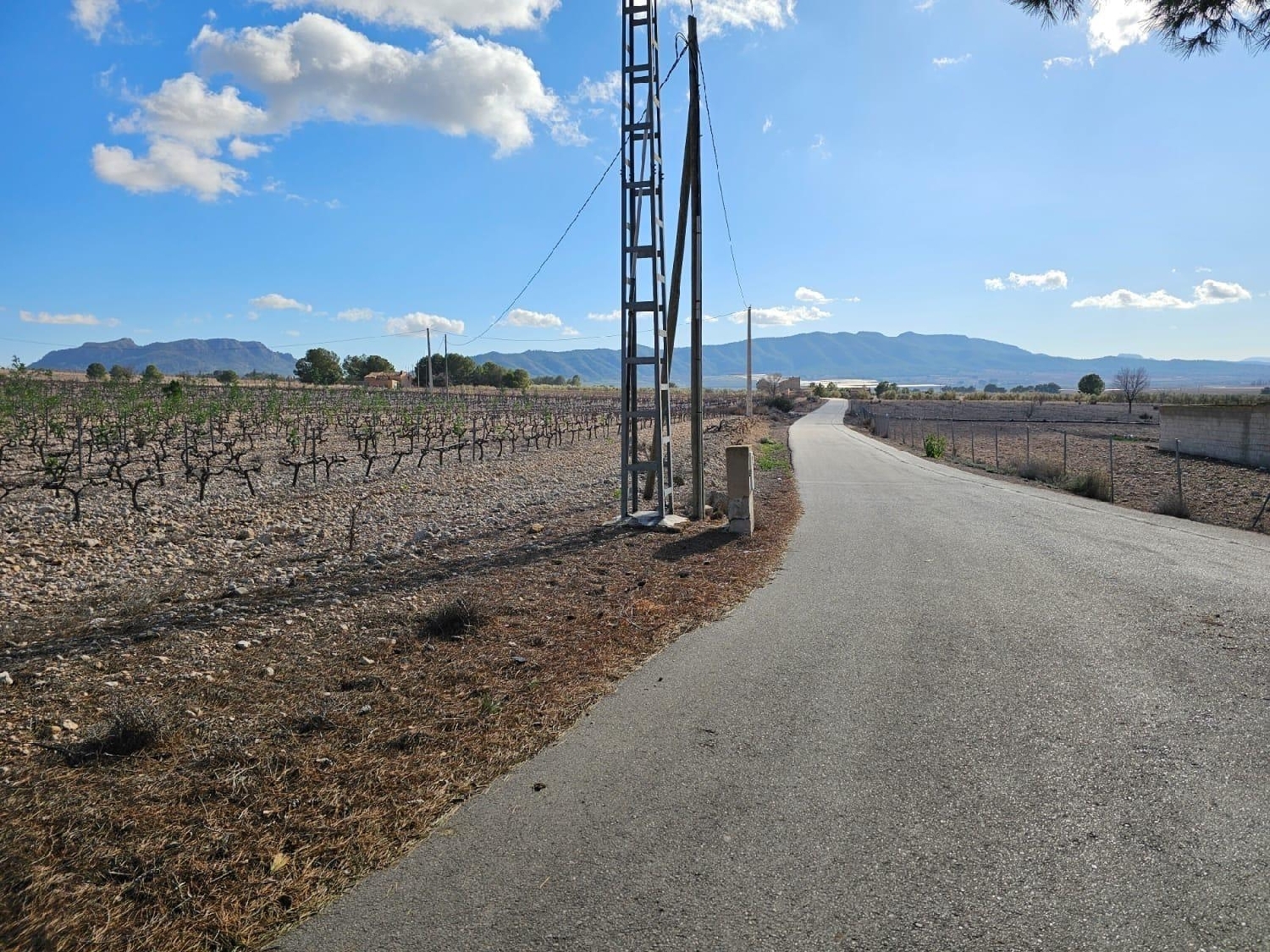  te koop perceel Salinas Alt Vinalopó 6