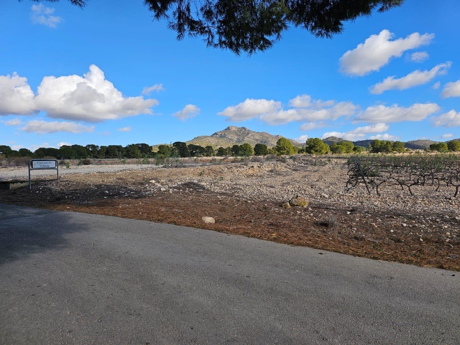  te koop perceel Salinas Alt Vinalopó 7