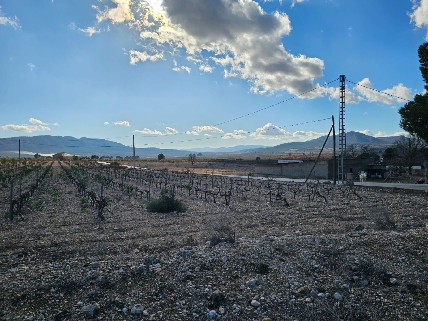  te koop perceel Salinas Alt Vinalopó 3