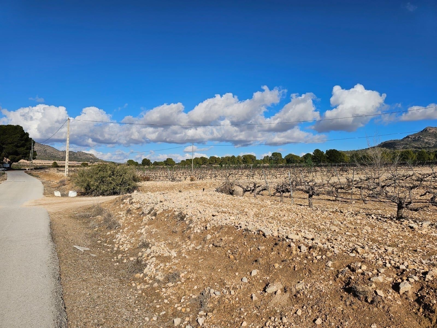  te koop perceel Salinas Alt Vinalopó 5