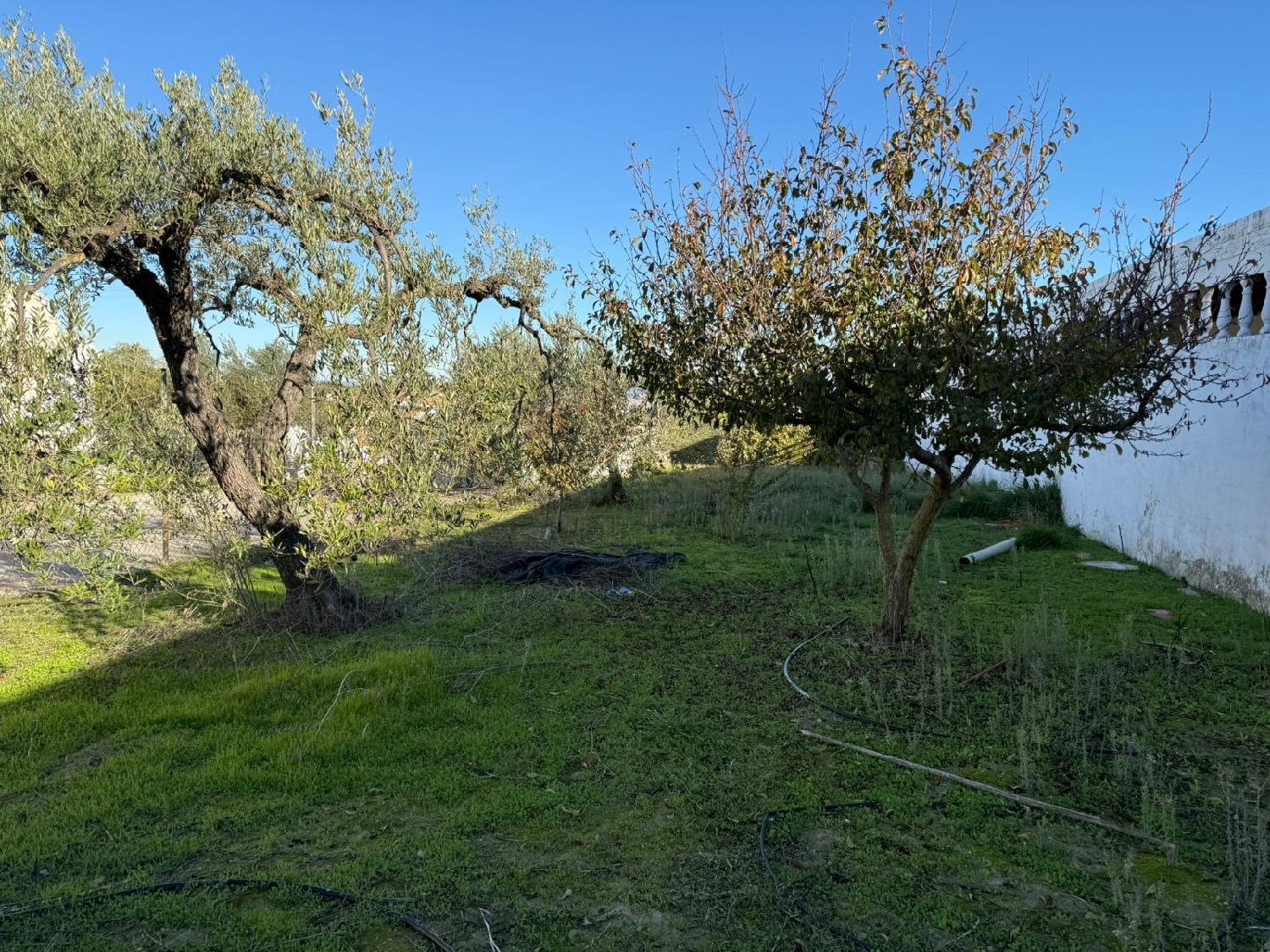  for sale plot Salteras Metropolitana De Sevilla 7