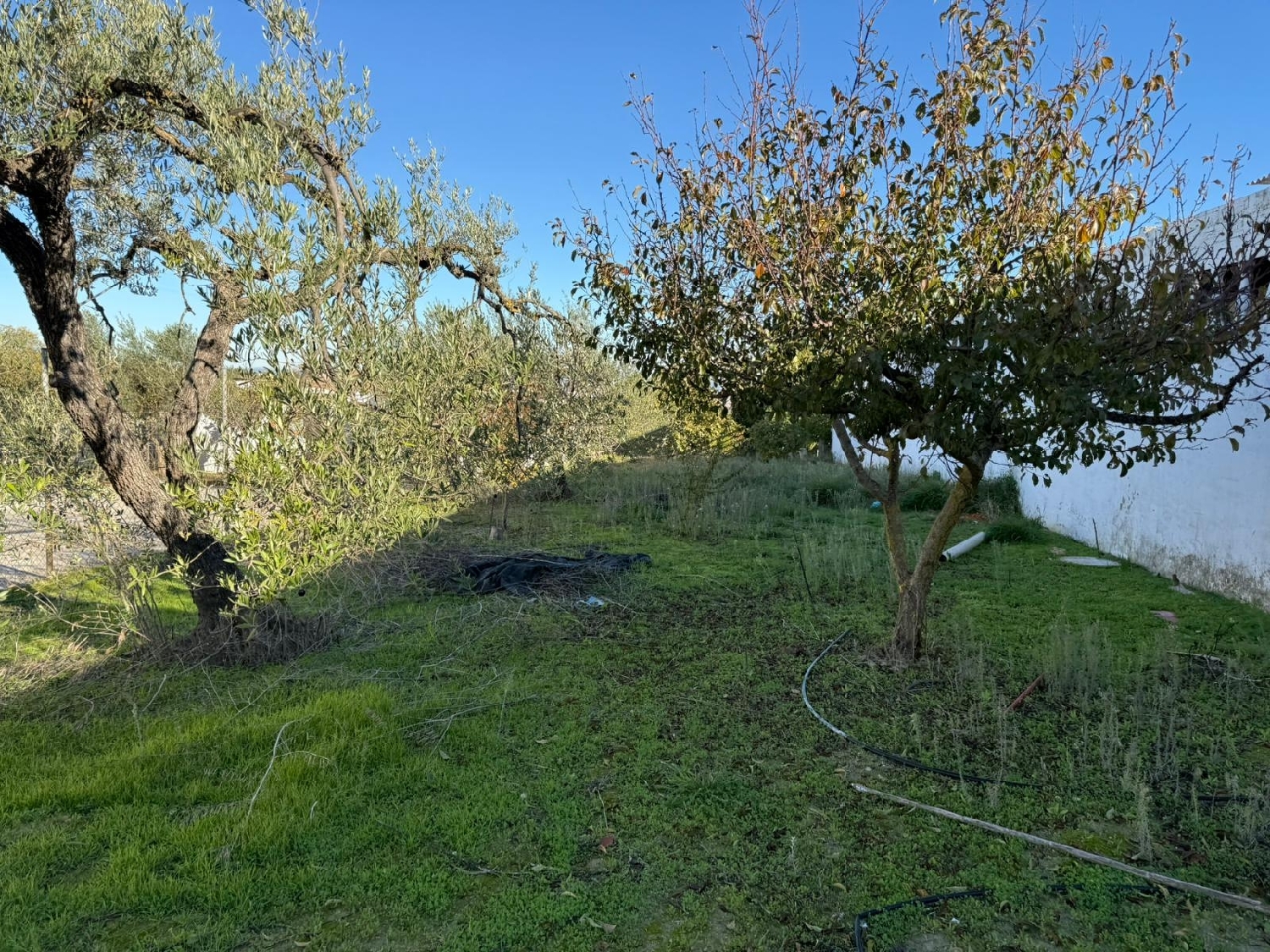  for sale plot Salteras Metropolitana De Sevilla 5