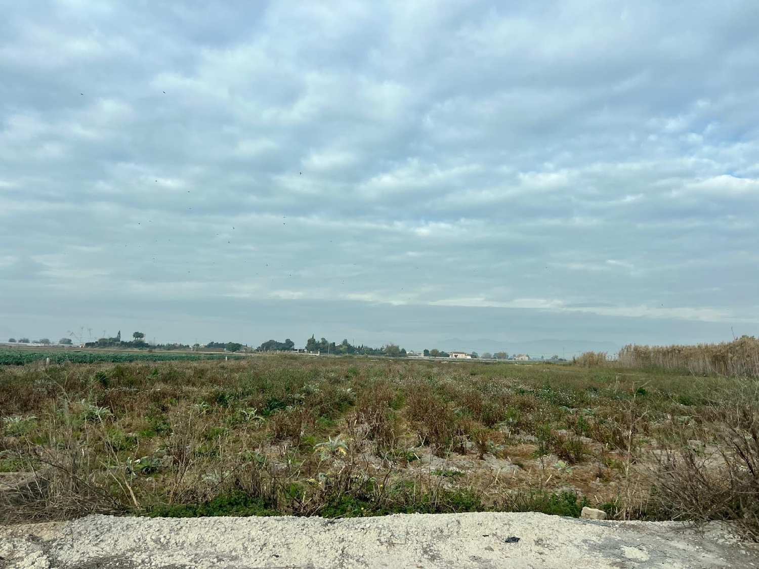  for sale plot San Fulgencio Baix Segura 3