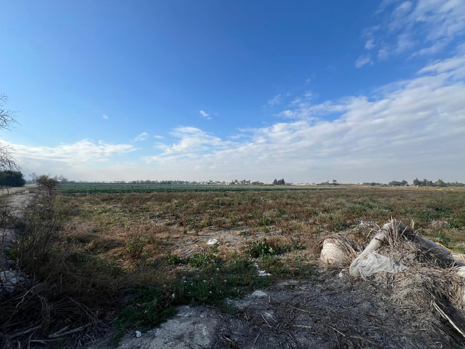  for sale plot San Fulgencio Baix Segura 5