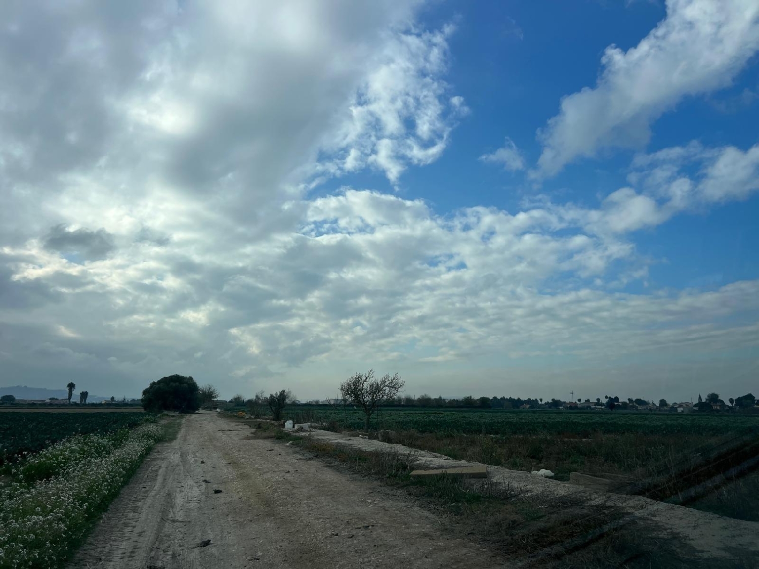  for sale plot San Fulgencio Baix Segura 7