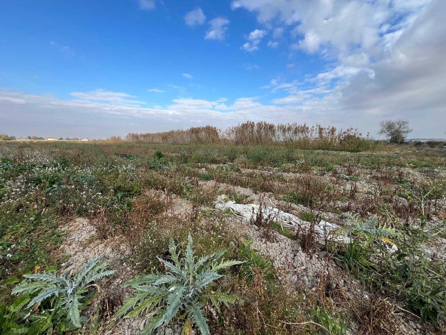  for sale plot San Fulgencio Baix Segura 1