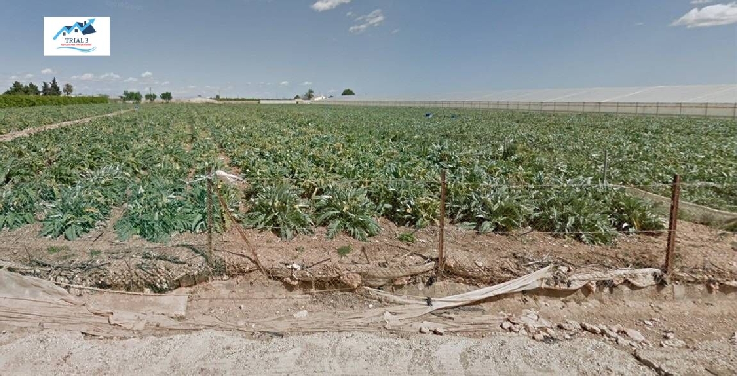 for sale plot San Javier Urbanización Vega De Granada 1