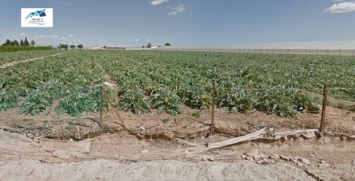 San Javier Urbanización Vega De Granada plot foto 6340617