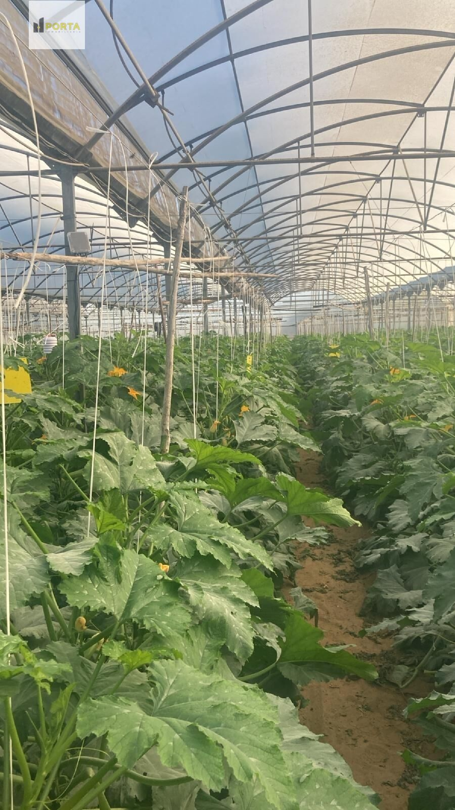 till salu tomt Sanlúcar De Barrameda Costa Noroeste 2