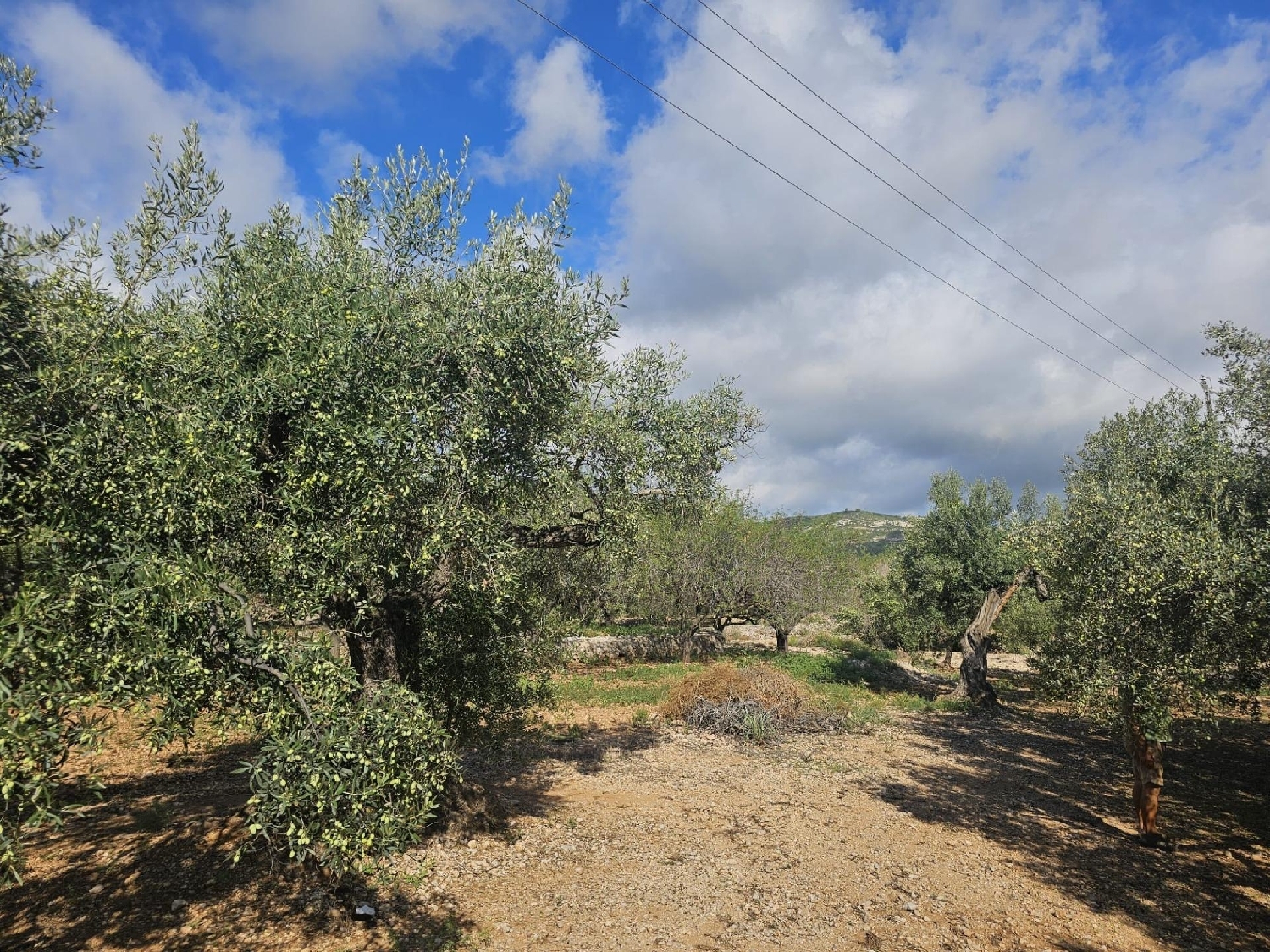 en venta terreno Sant Carles De La Ràpita Montsià 1