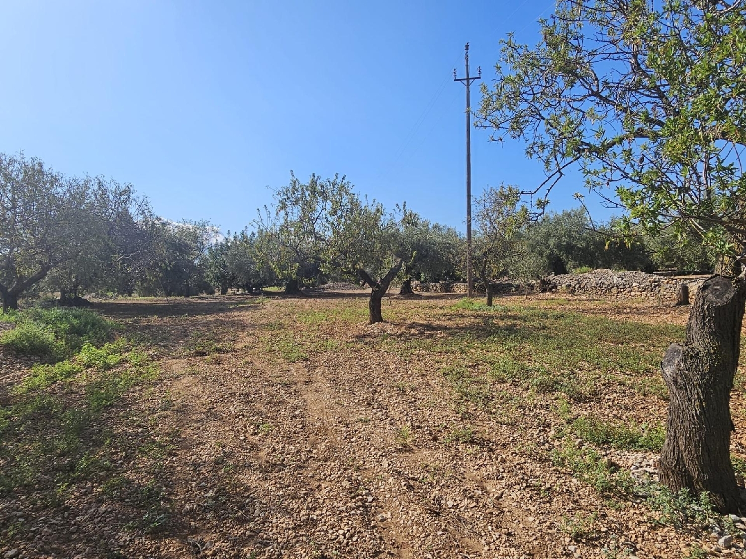 en venta terreno Sant Carles De La Ràpita Montsià 3