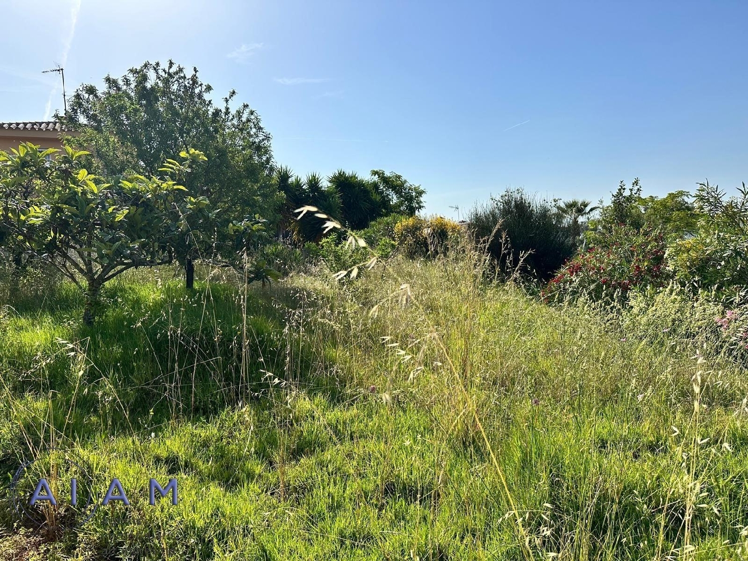 till salu tomt Sant Pol De Mar Maresme 8