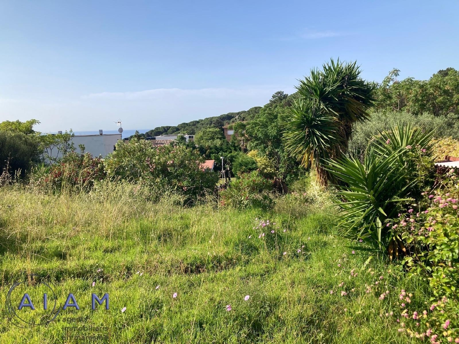 till salu tomt Sant Pol De Mar Maresme 4