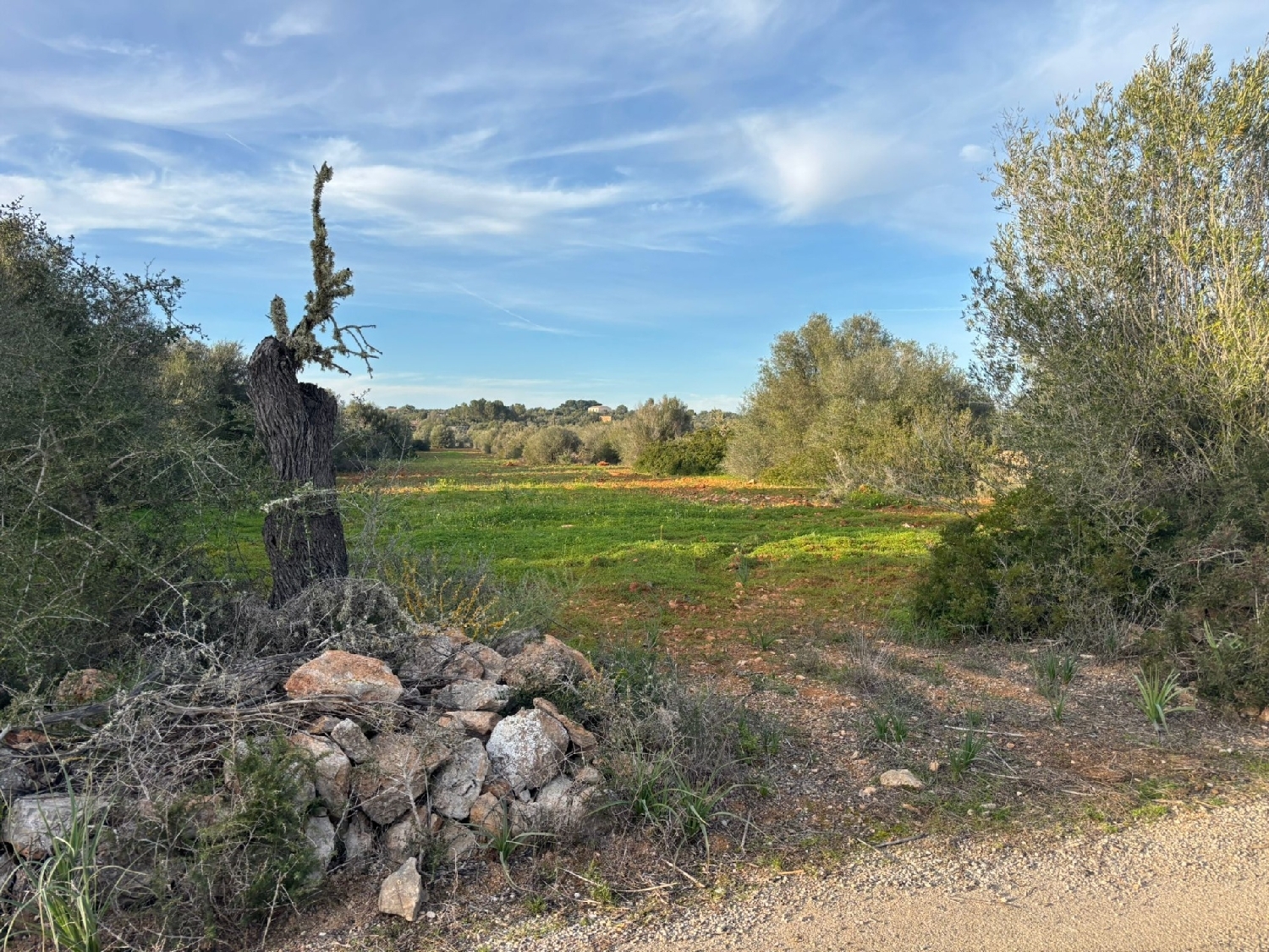  till salu tomt Santanyí Sud 6