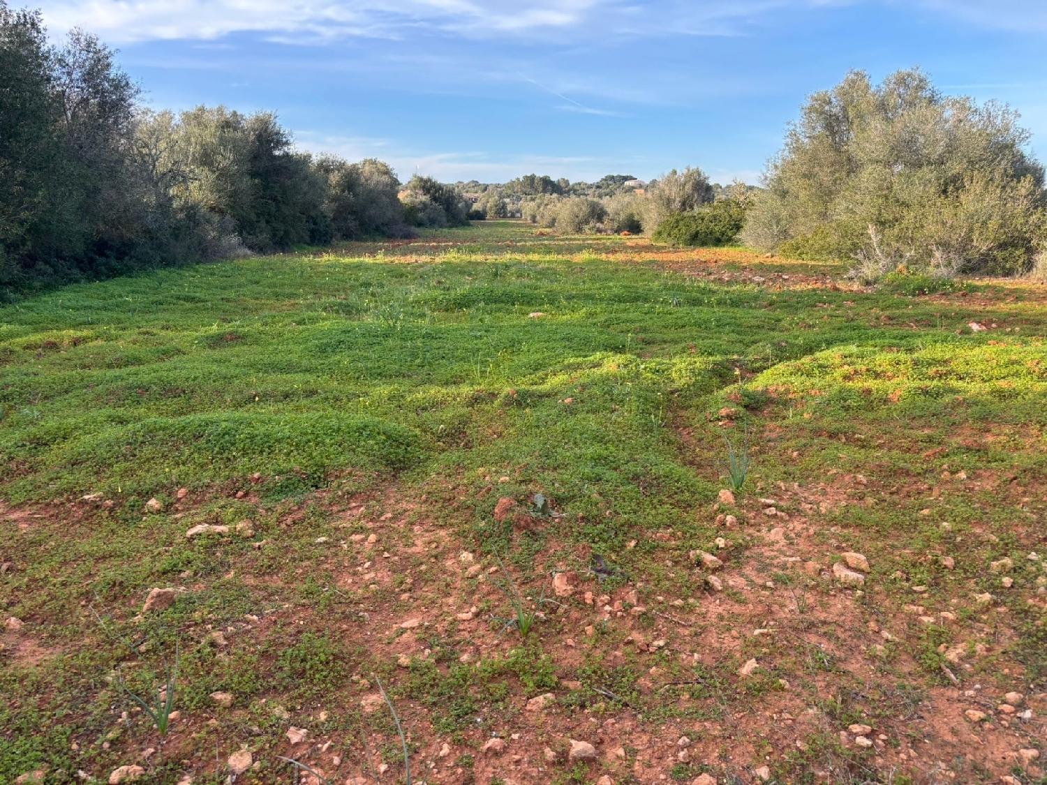  till salu tomt Santanyí Sud 4