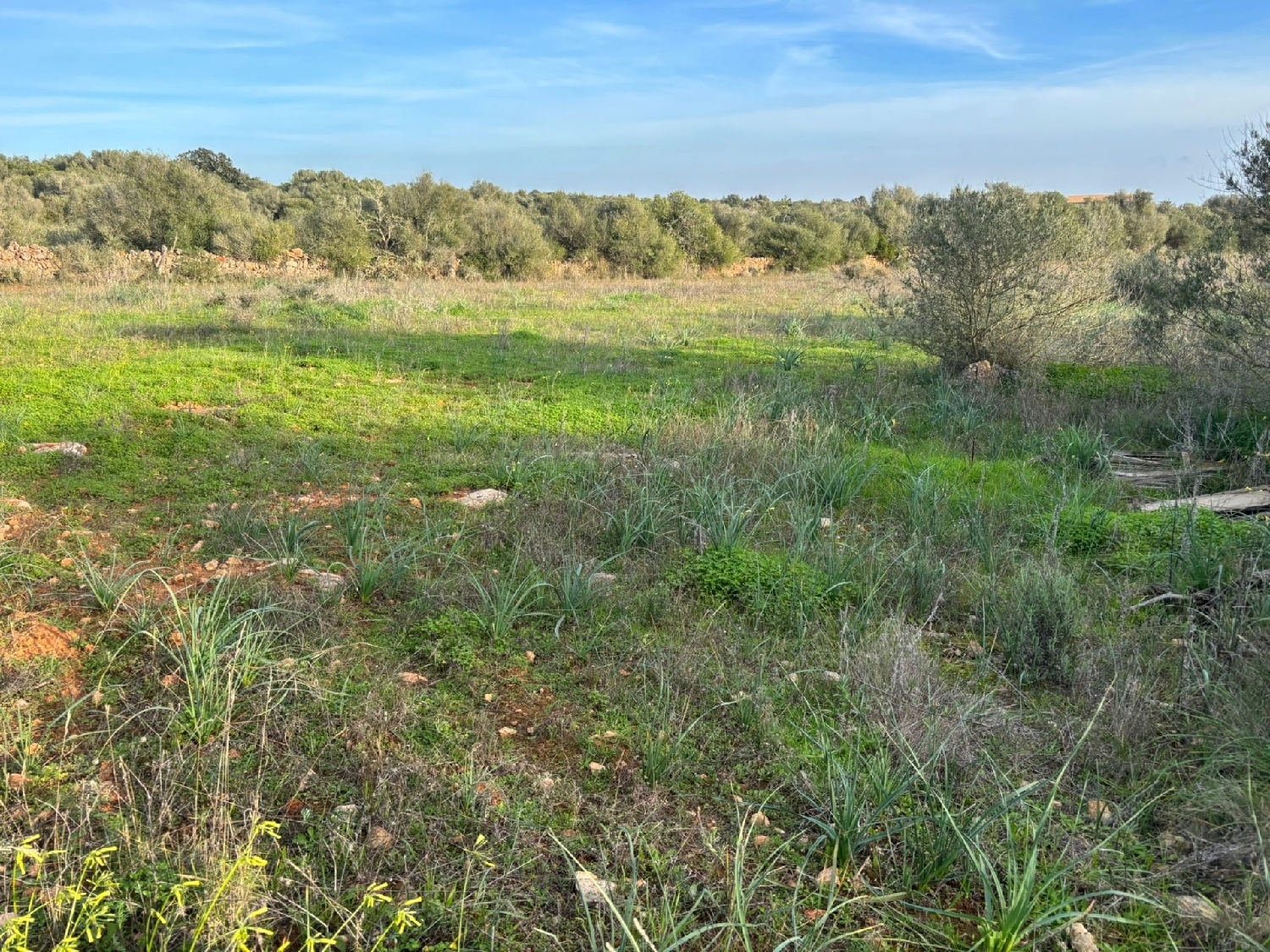  till salu tomt Santanyí Sud 5