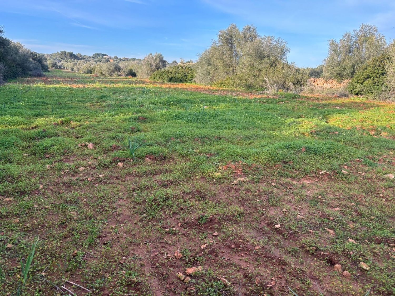  till salu tomt Santanyí Sud 3