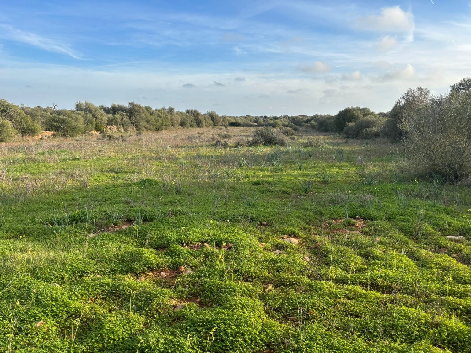  till salu tomt Santanyí Sud 1