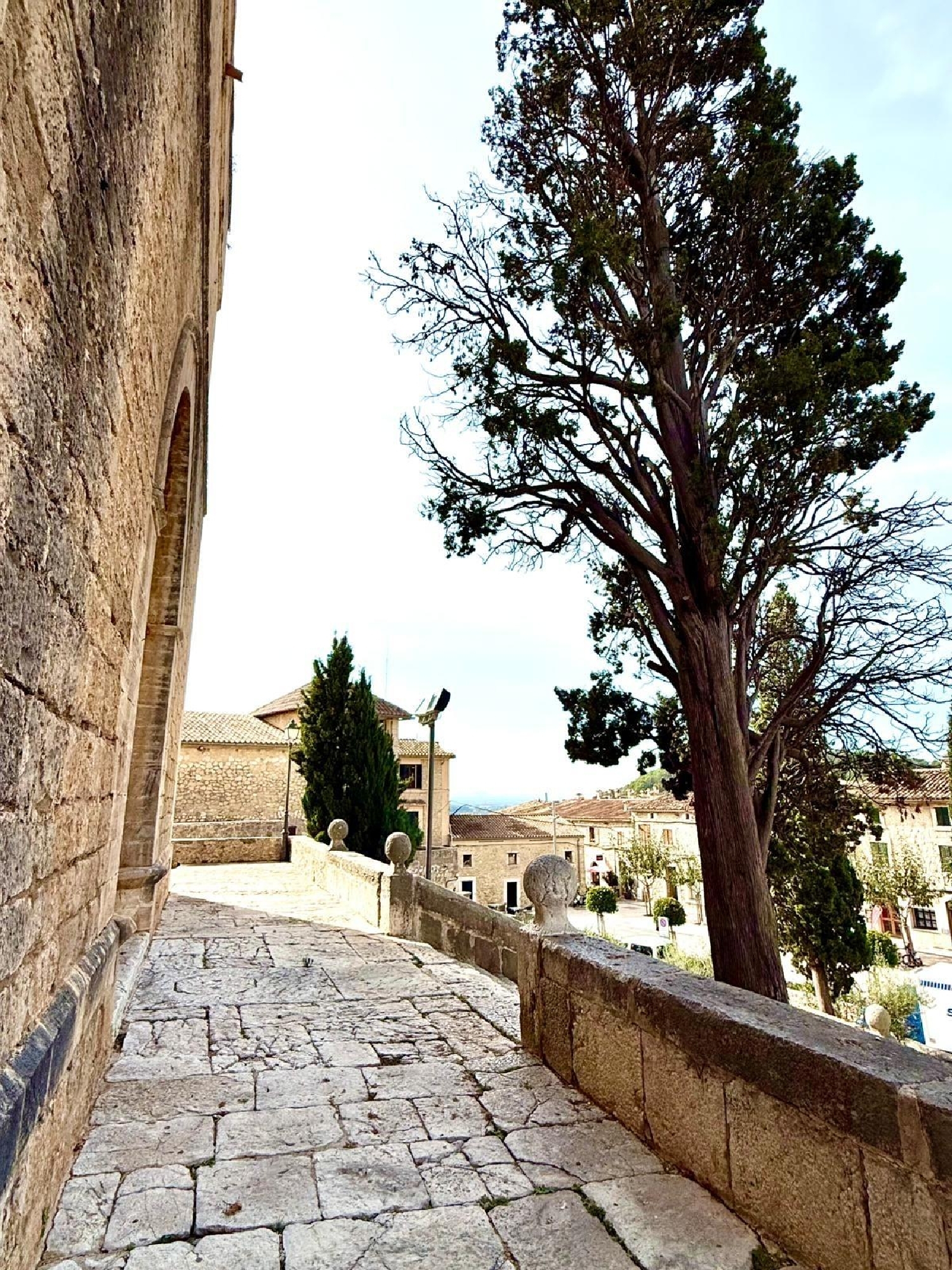  kaufen Grundstück Selva Raiguer 3