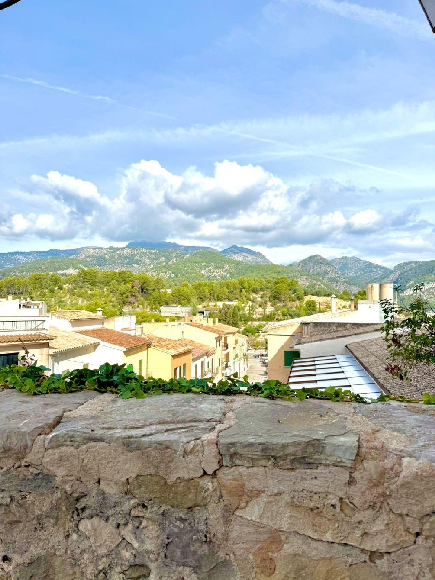  kaufen Grundstück Selva Raiguer 4