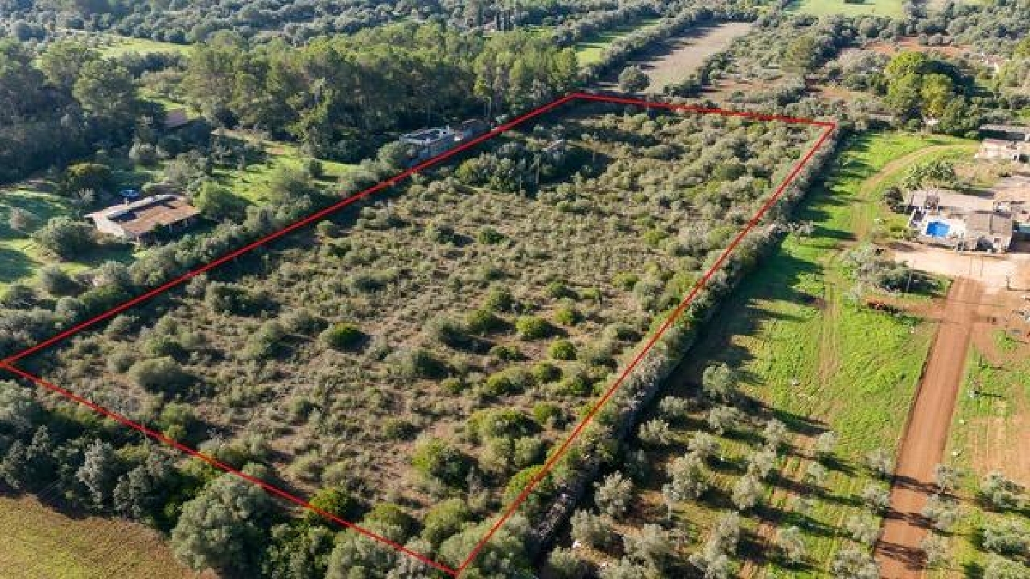  for sale plot Sencelles Pla (Es) 2