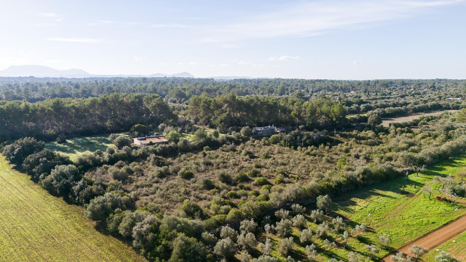  for sale plot Sencelles Pla (Es) 4