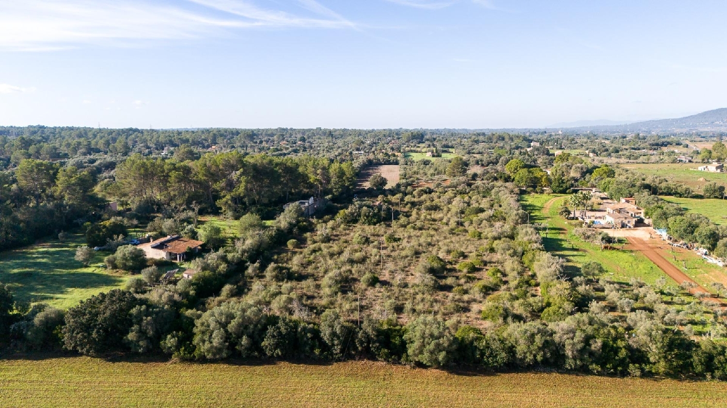  for sale plot Sencelles Pla (Es) 5