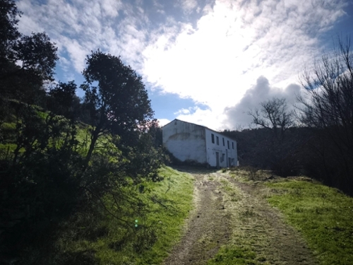 Setenil De Las Bodegas Sierra De Cádiz tomt foto 6336493