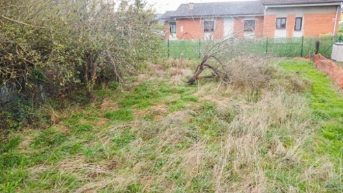 Siero Narcea plot foto 6326485