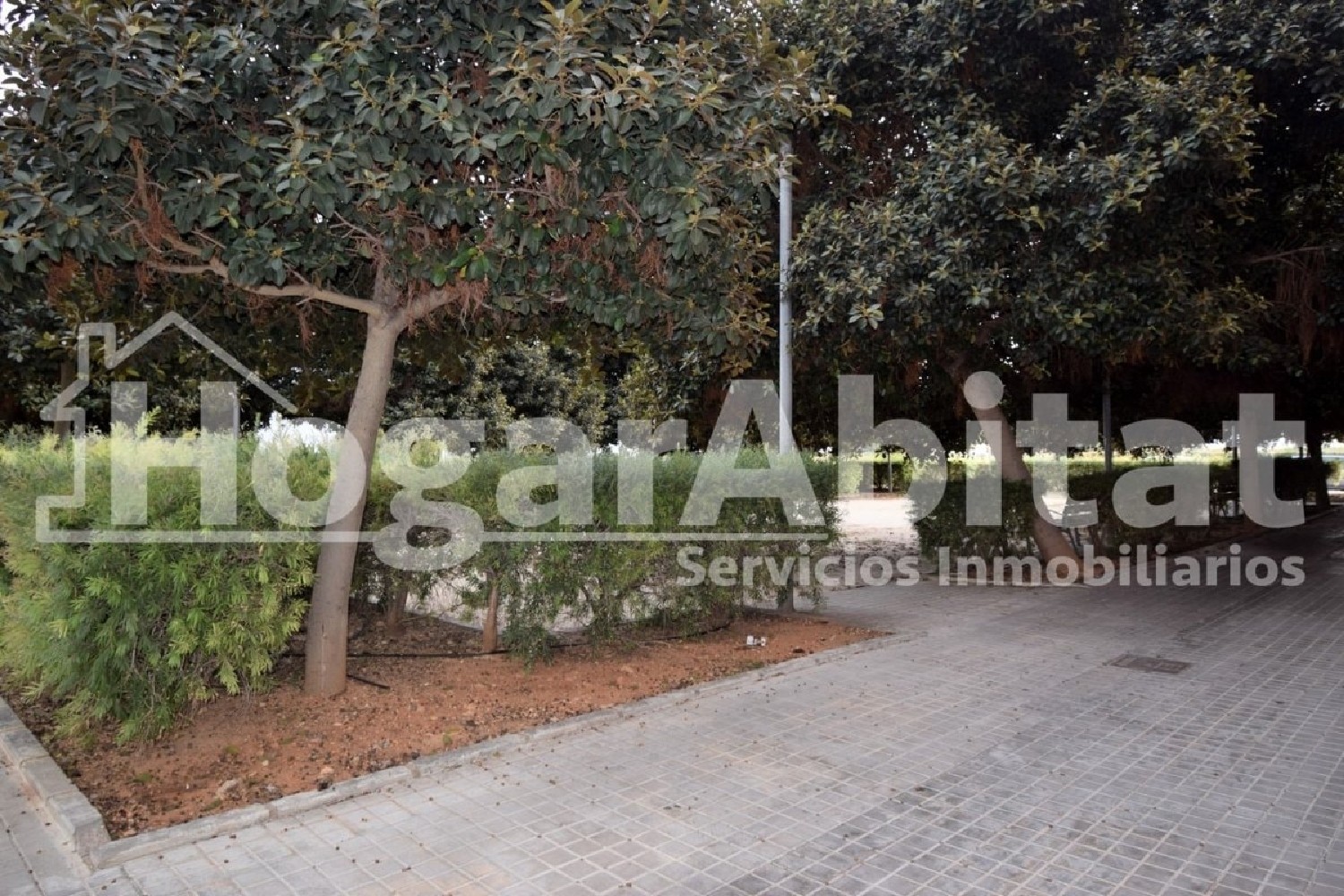  à vendre terrain Silla Horta Sud 6