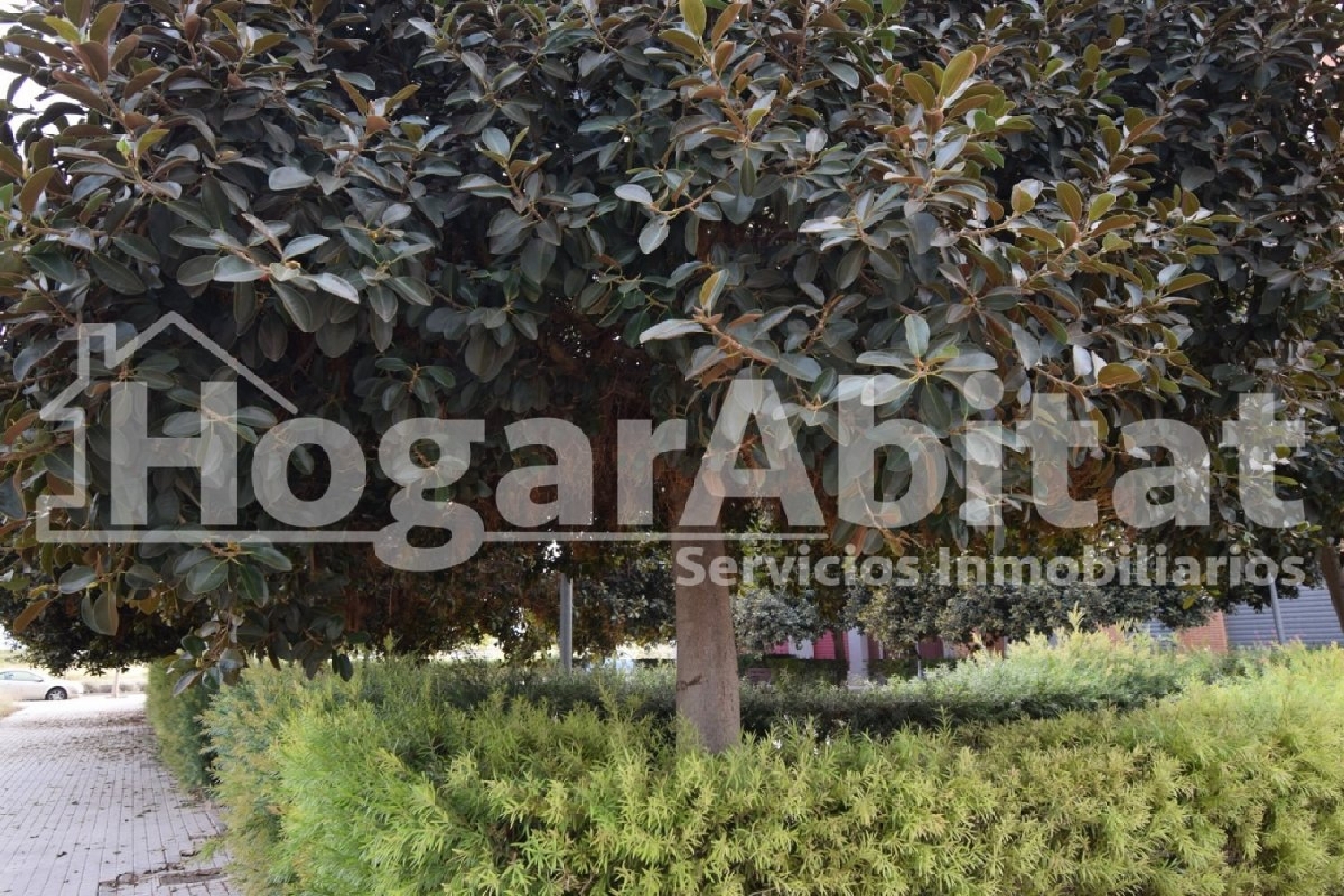  à vendre terrain Silla Horta Sud 8