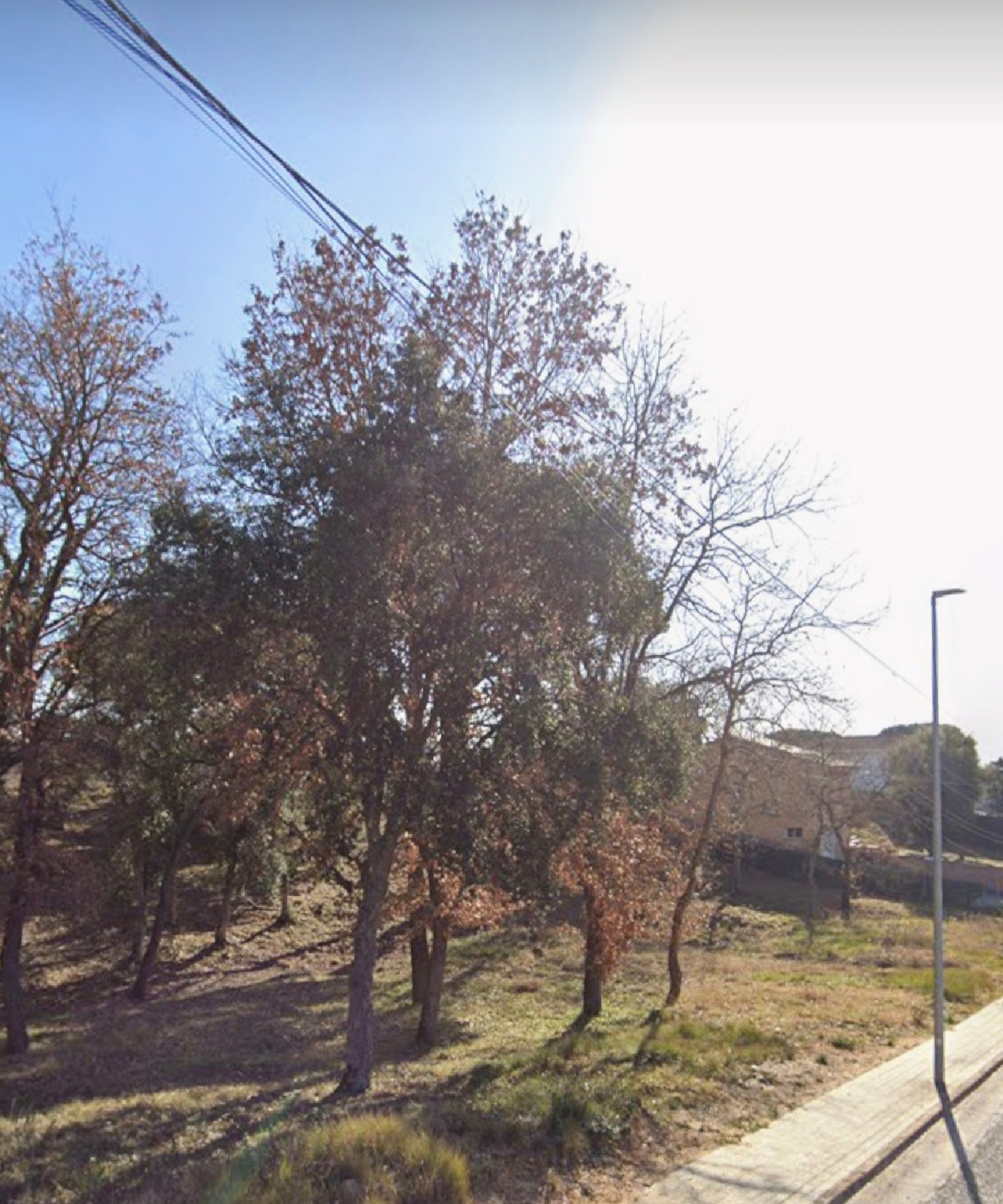  kaufen Grundstück Sils Selva 3