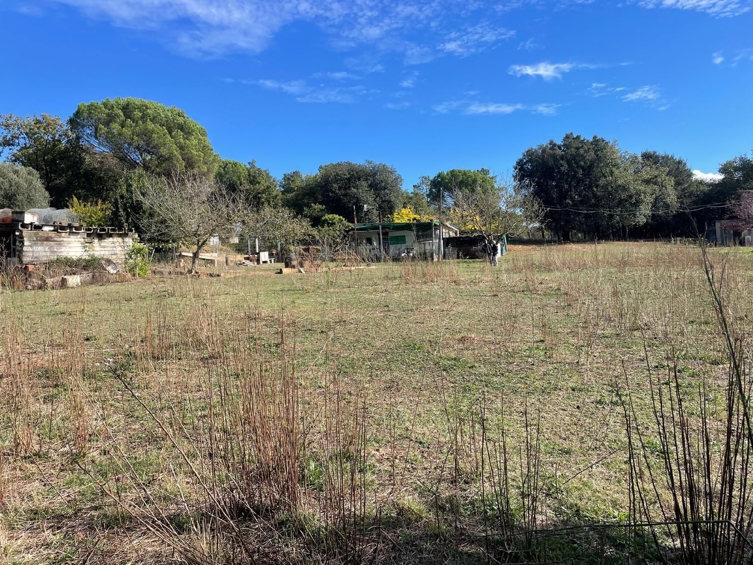  kaufen Grundstück Sils Selva 4