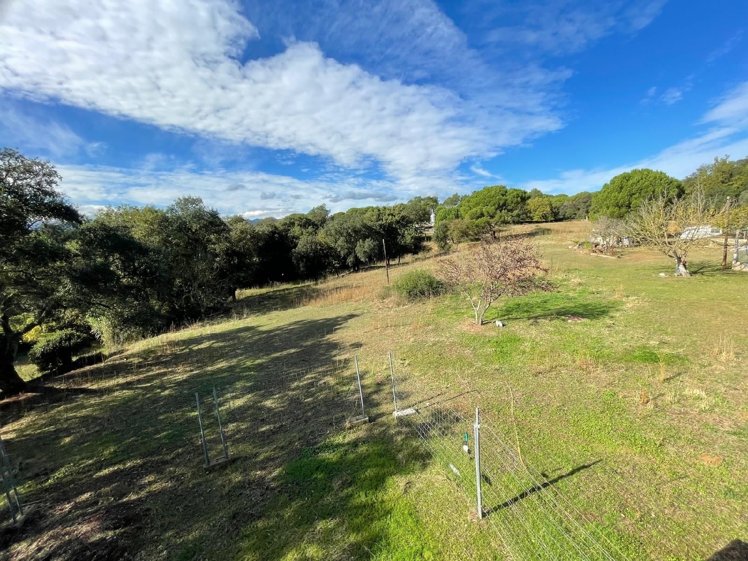  kaufen Grundstück Sils Selva 2