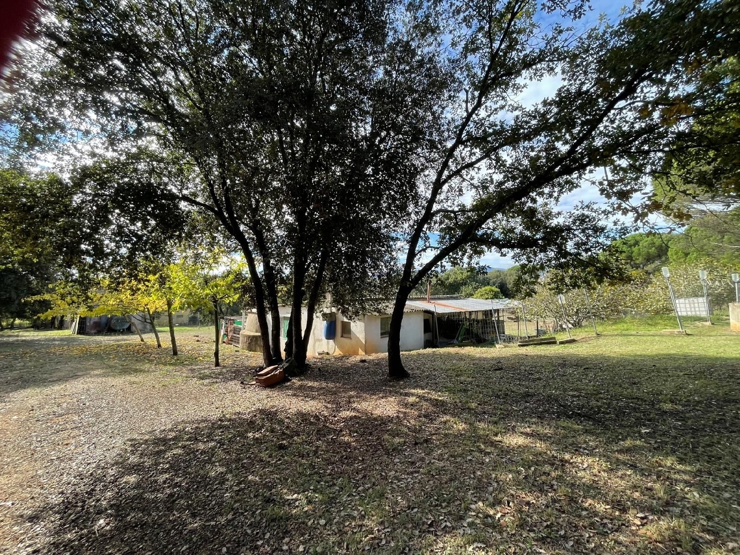  kaufen Grundstück Sils Selva 3