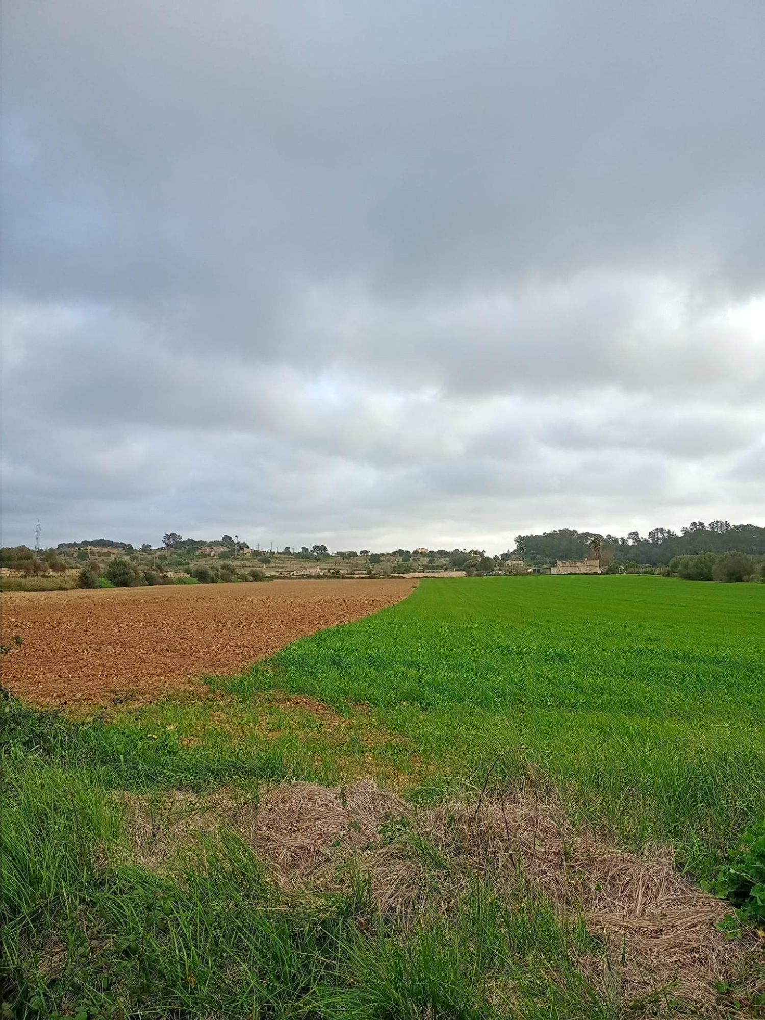 till salu tomt Sineu Pla (Es) 2