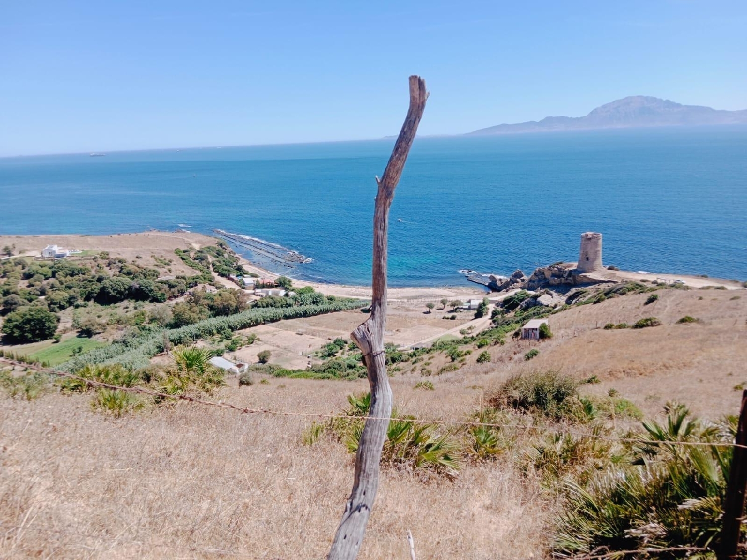 till salu tomt Tarifa Campo De Gibraltar 5