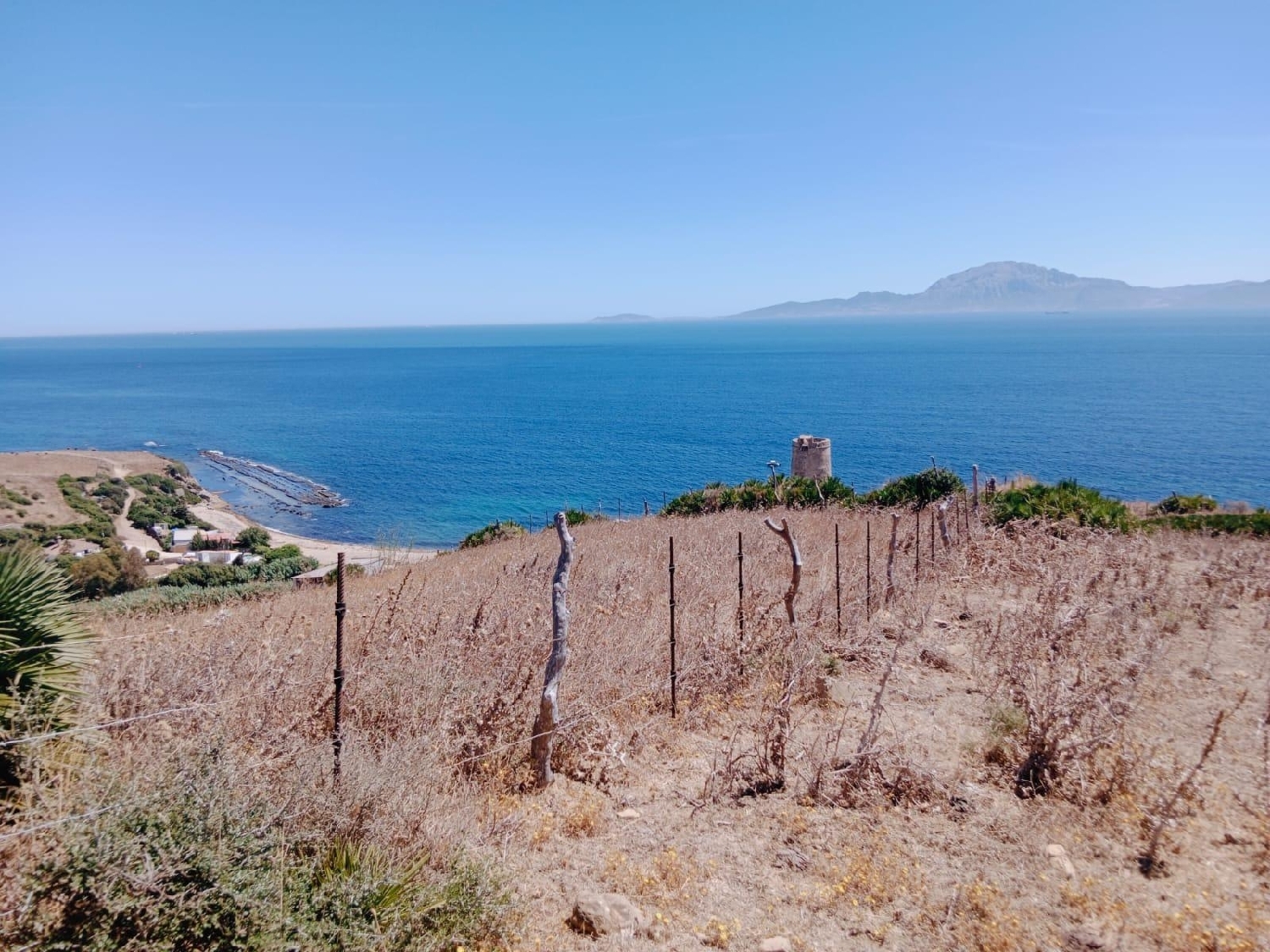 till salu tomt Tarifa Campo De Gibraltar 7